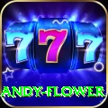 andy flower Gold Edition v1.6.2