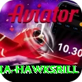 antigua hawksbill Apps (Tools & Injectors) Master v4.6.8