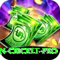 australian cricket APK Turbo v1.7.7