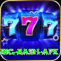 bbl big bash apk Premium Plus v1.1.7