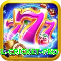 bbl cricket APK Master v4.2.2
