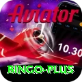 bingo Turbo v1.8.6