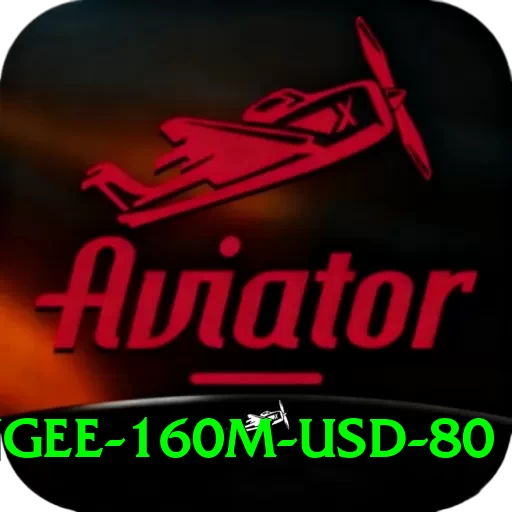 bungee 160m usd 80 VIP v1.9.8 - 2