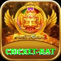 cricket bat Gold Pro v5.6.8
