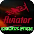 cricket pitch VIP Pro v2.5.8