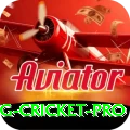 eng cricket - Prime Edition v3.8.0