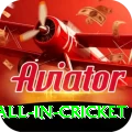 fastest ball in cricket Pro Max v2.2.7