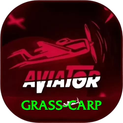 grass carp Gold v1.2.8 - 2