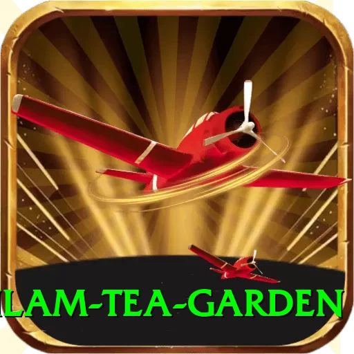hile ilam tea garden Apps (Tools & Injectors) Plus v1.2.2 - 2