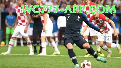 sports cricket live Live Casino Mega Screenshot 2 - 4