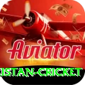 india pakistan cricket VIP v3.4.5