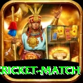 india pakistan cricket match Plus Pro v5.8.8