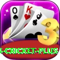 india pakistan cricket Royal v5.9.8