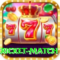 international cricket match Plus Edition v1.4.7
