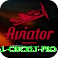 international cricket Deluxe v5.4.0