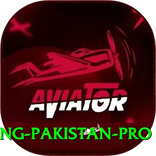 IPL Betting Pakistan Live Casino Champion - 2