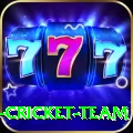 ireland cricket team Deluxe Edition v4.6.4