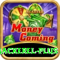 king mackerel Official v4.6.4