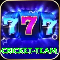 mumbai cricket team Ultimate Pro v2.6.4