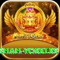 naseem shah yorkers Premium Edition v5.1.9