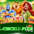 one cricket - Casino Champion