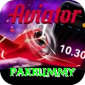 pakrummy Master v5.2.8