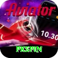 pkspin Deluxe v5.2.6