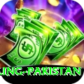 responsible gambling pakistan Master Pro v5.4.4