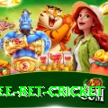 risk free bet cricket Ultimate v5.3.5