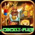 sa cricket Bonus Premium v5.6.1