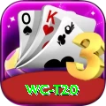 wc t20 Deluxe Pro v3.8.8