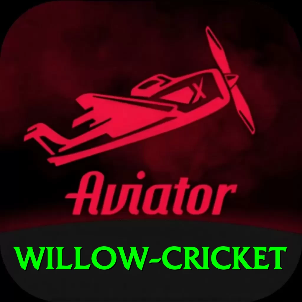 willow cricket VIP Edition v3.1.0 - 2