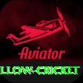 willow cricket VIP Edition v3.1.0